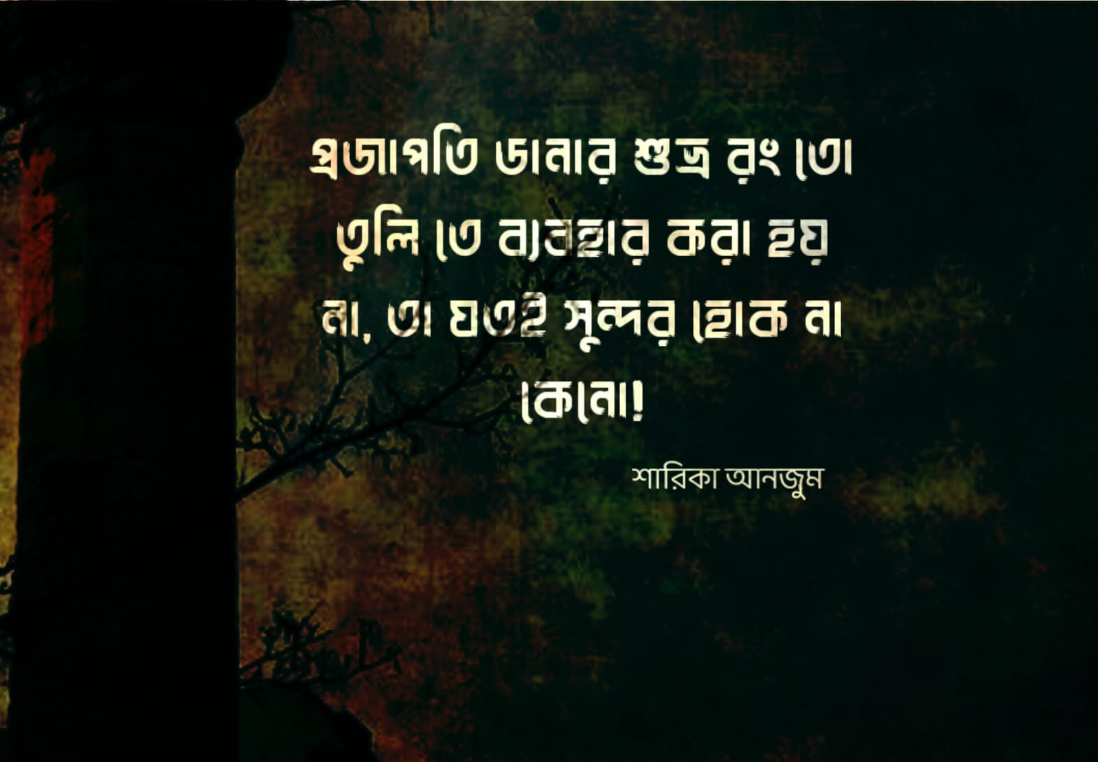 শারিকা আনজুম